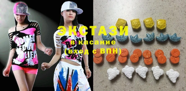 стаф Богданович