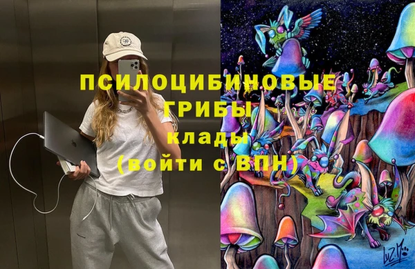 дмт Арсеньев