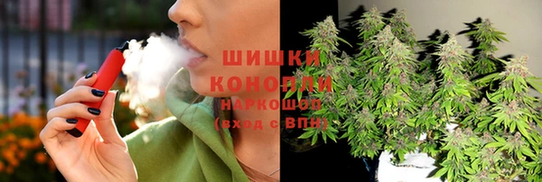дмт Арсеньев