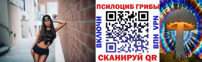 Псилоцибиновые грибы прущие грибы  Байкальск 